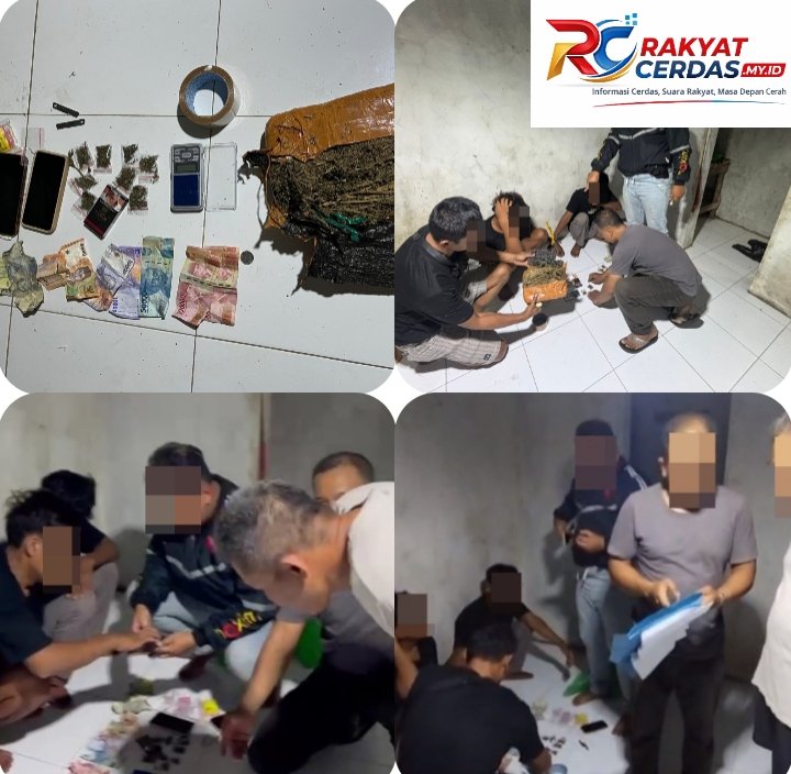Dua Nelayan di Wiradesa Dibekuk, Satres Narkoba Polres Pekalongan Bongkar Peredaran Ganja di Rumah Kos