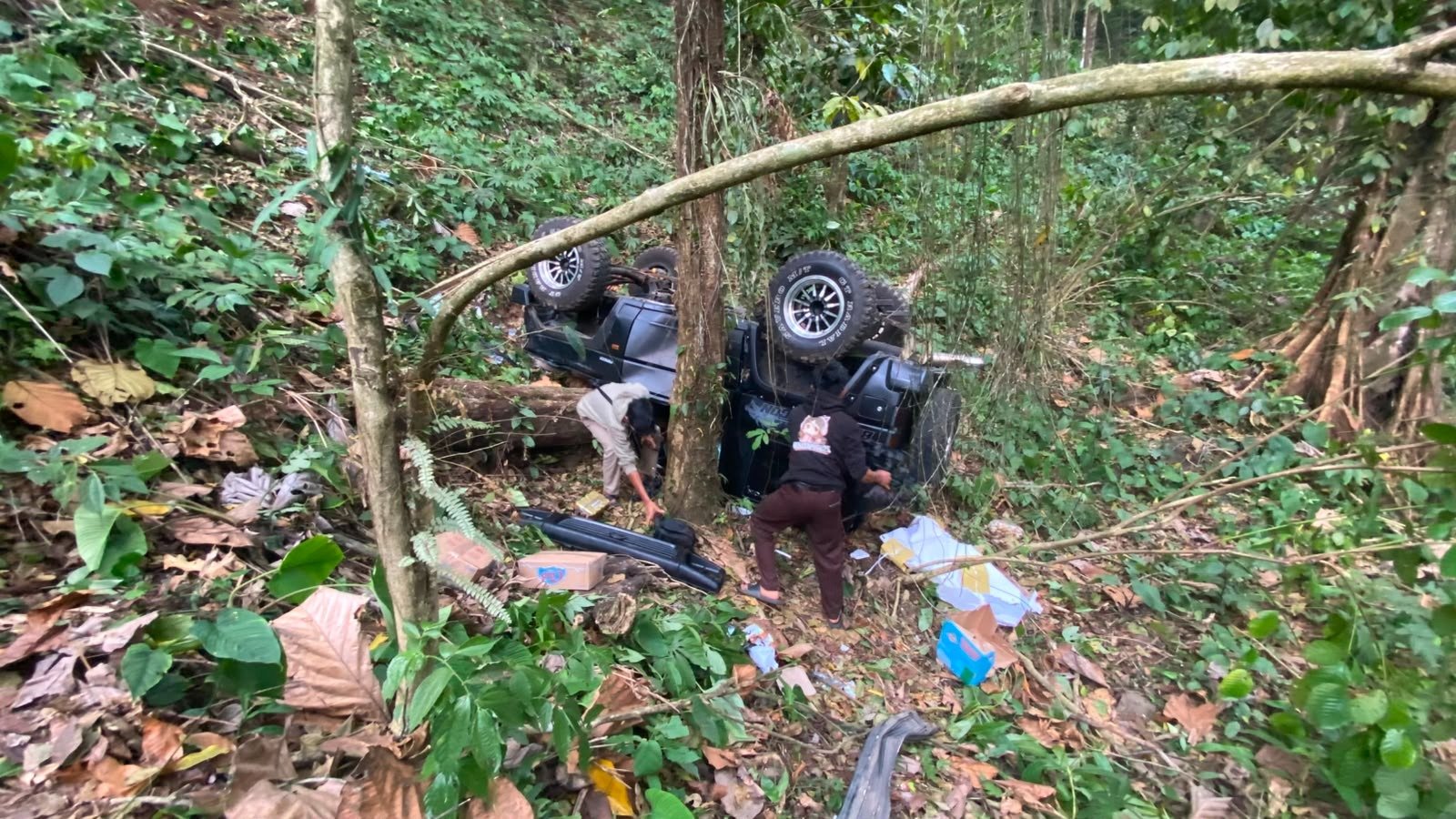 Mobil Feroza Terperosok ke Jurang di Hutan Sirewog Pekalongan, Balita Tewas dan Enam Penumpang Dirawat Intensif