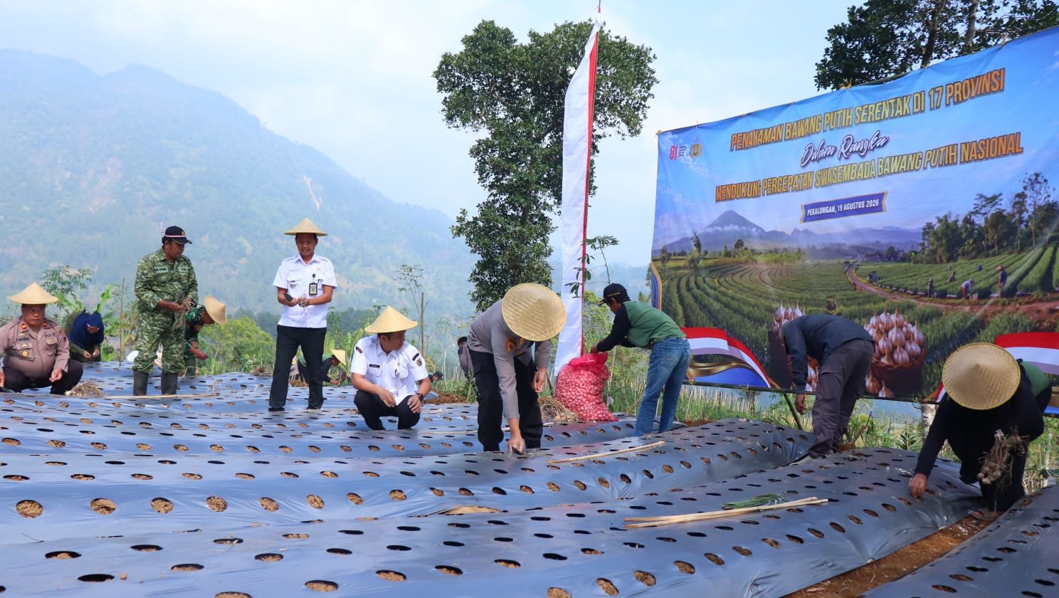 Tanam Bawang Putih Serentak, Petungkriyono Disiapkan Jadi Penyangga Swasembada Nasional