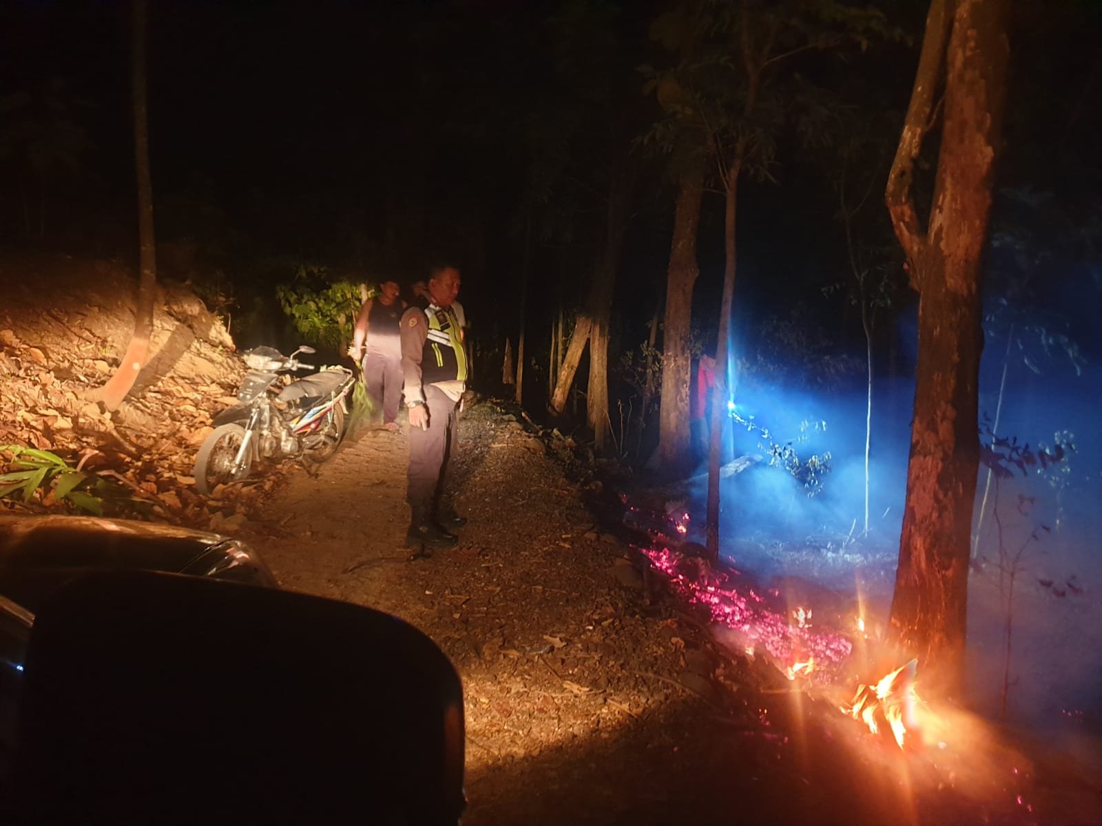 Kebakaran Lahan dan Hutan Pinus di Tajur Kandangserang, Polisi dan Warga Bergerak Cepat
