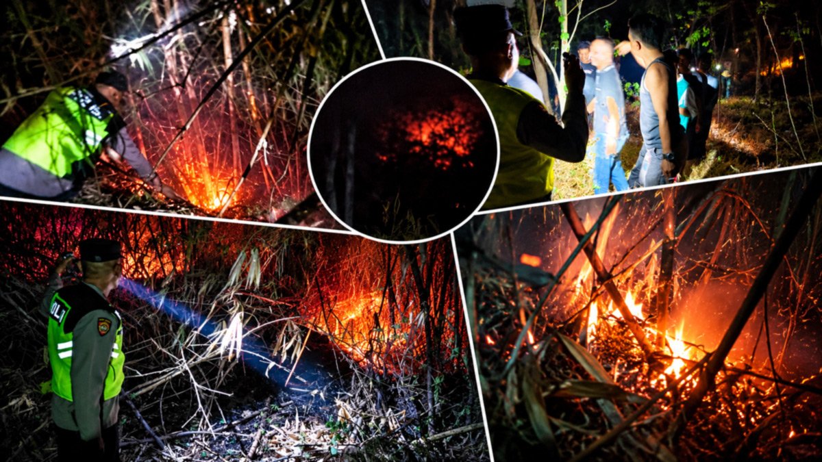 Lahan Perkebunan 2 Hektare di Bojong Pekalongan Terbakar, Polsek dan Damkar Gelar Pemadaman hingga Malam