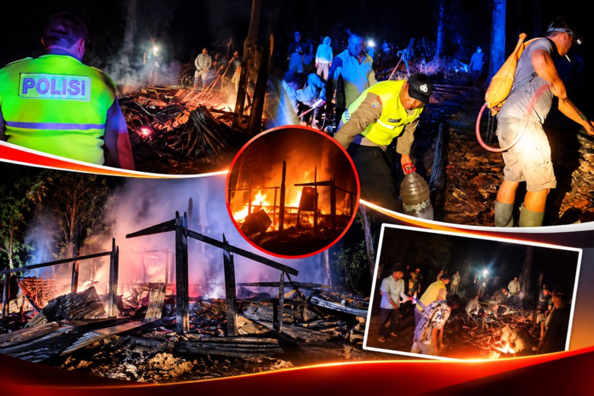 Warung Kopi di Lahan Perhutani Mesoyi Ludes Terbakar, Kerugian Capai Rp20 Juta